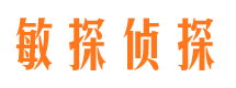 高唐侦探调查公司